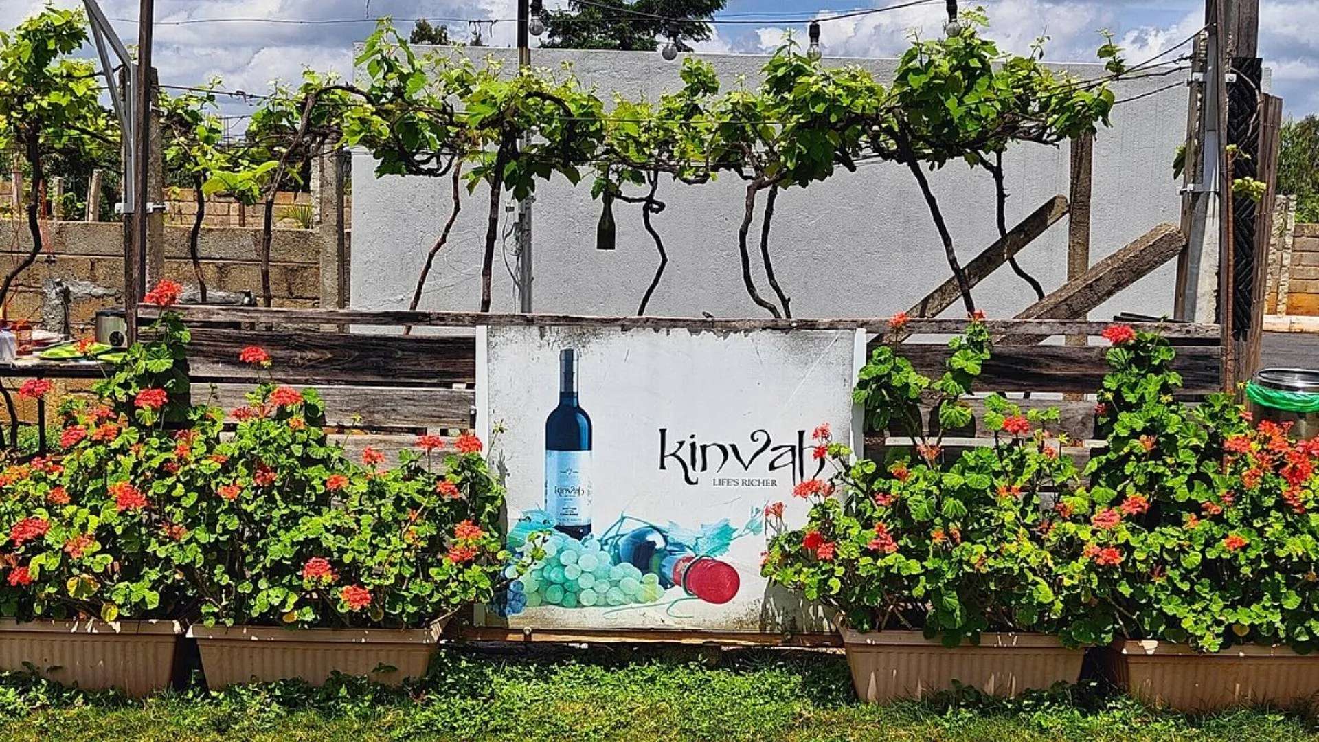 Kinvah Vineyards (Nandi Valley –35 km from Bangalore)